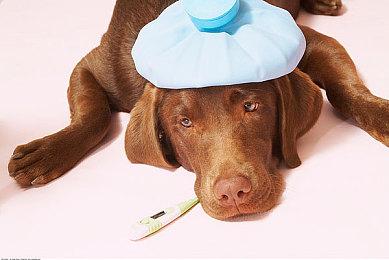 505将在TGA 2022上公布新作 首个截图公开